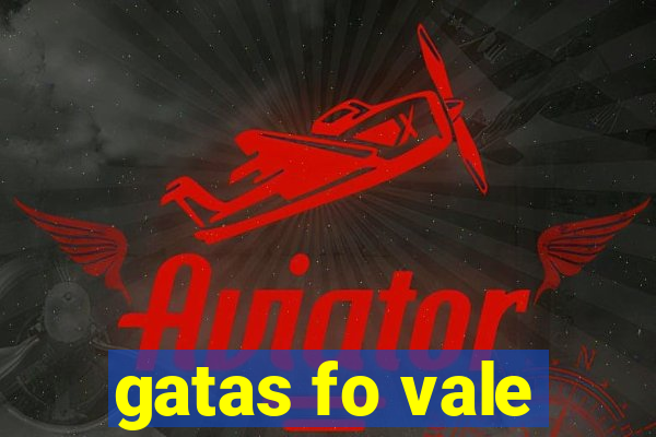 gatas fo vale